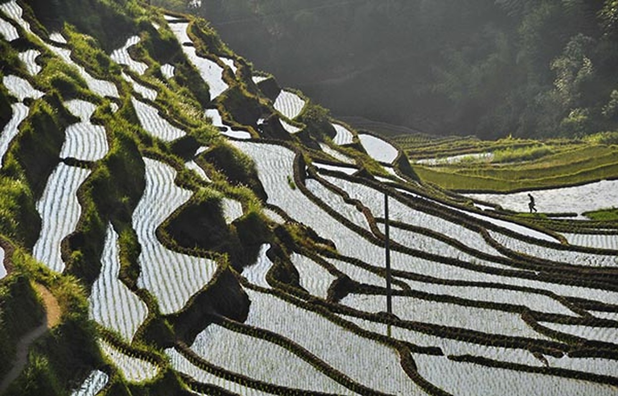 “Kiet tac” ruong bac thang dep me hon tren the gioi-Hinh-17