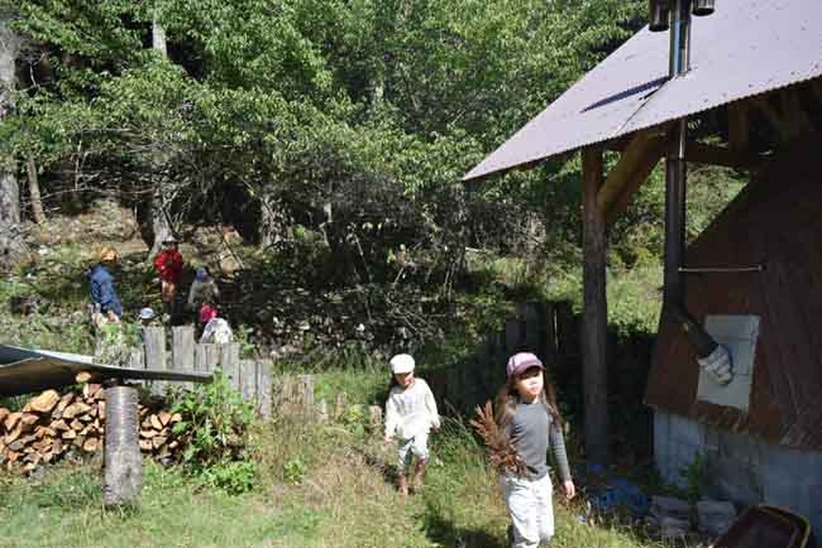 Chiem nguong nha tre thien nhien o Nhat Ban-Hinh-5