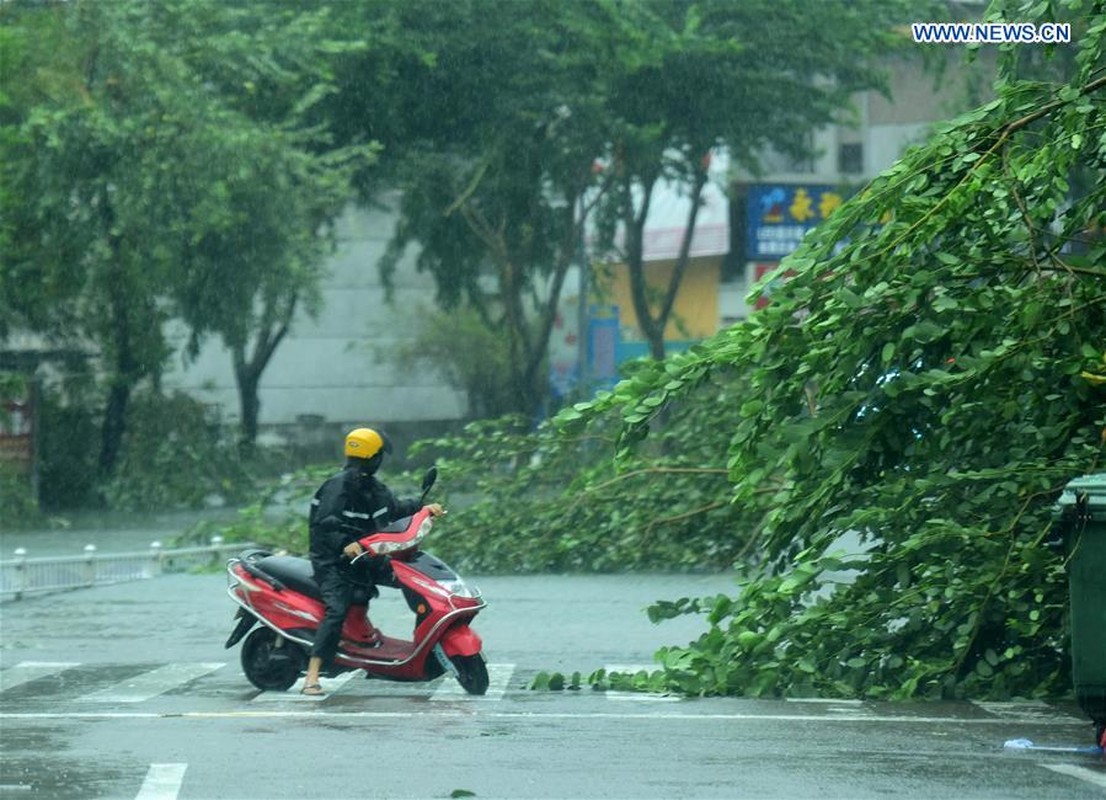 Hinh anh moi nhat sieu bao Sarika tan pha Hai Nam