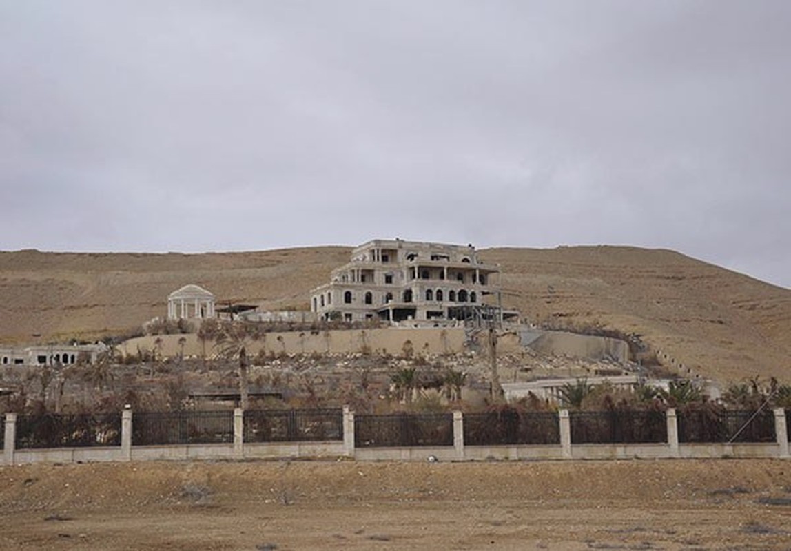 Ben trong thanh pho co Palmyra moi giai phong khoi IS-Hinh-3