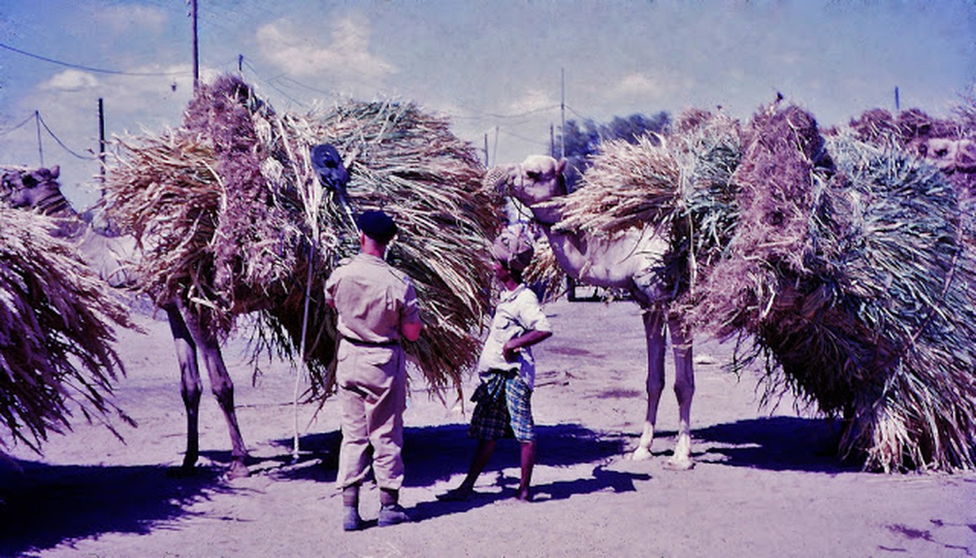 Cuoc song thanh binh o thanh pho cang Aden thap nien 1960-Hinh-12