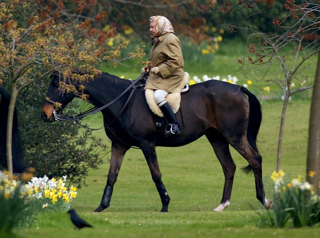 12 khoanh khac doi thuong cua Nu hoang Anh Elizabeth II-Hinh-7