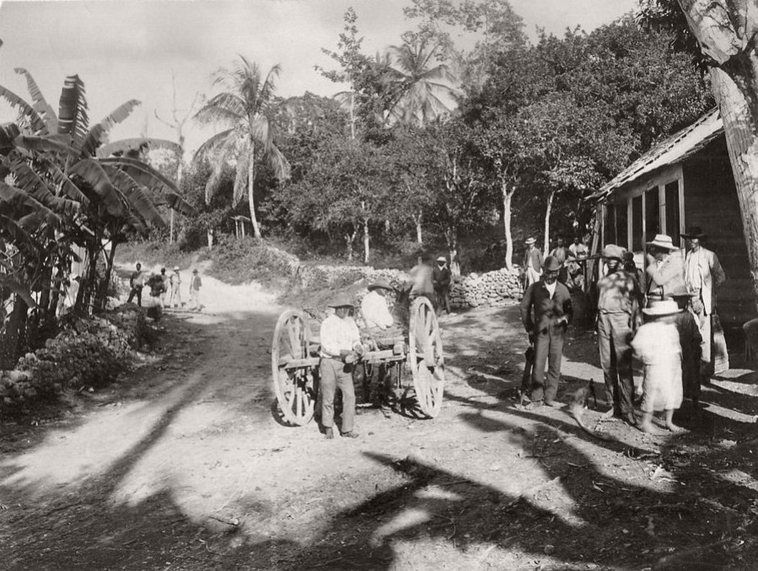 Tan muc cuoc song o dao quoc Jamaica hang tram nam truoc-Hinh-9