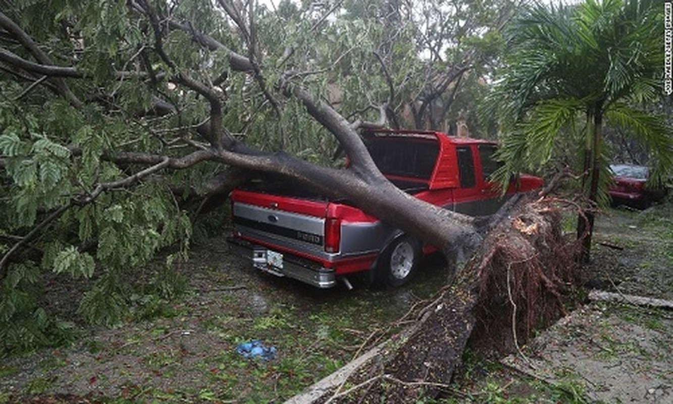 Kinh hoang sieu bao Irma tan pha bang Florida-Hinh-2