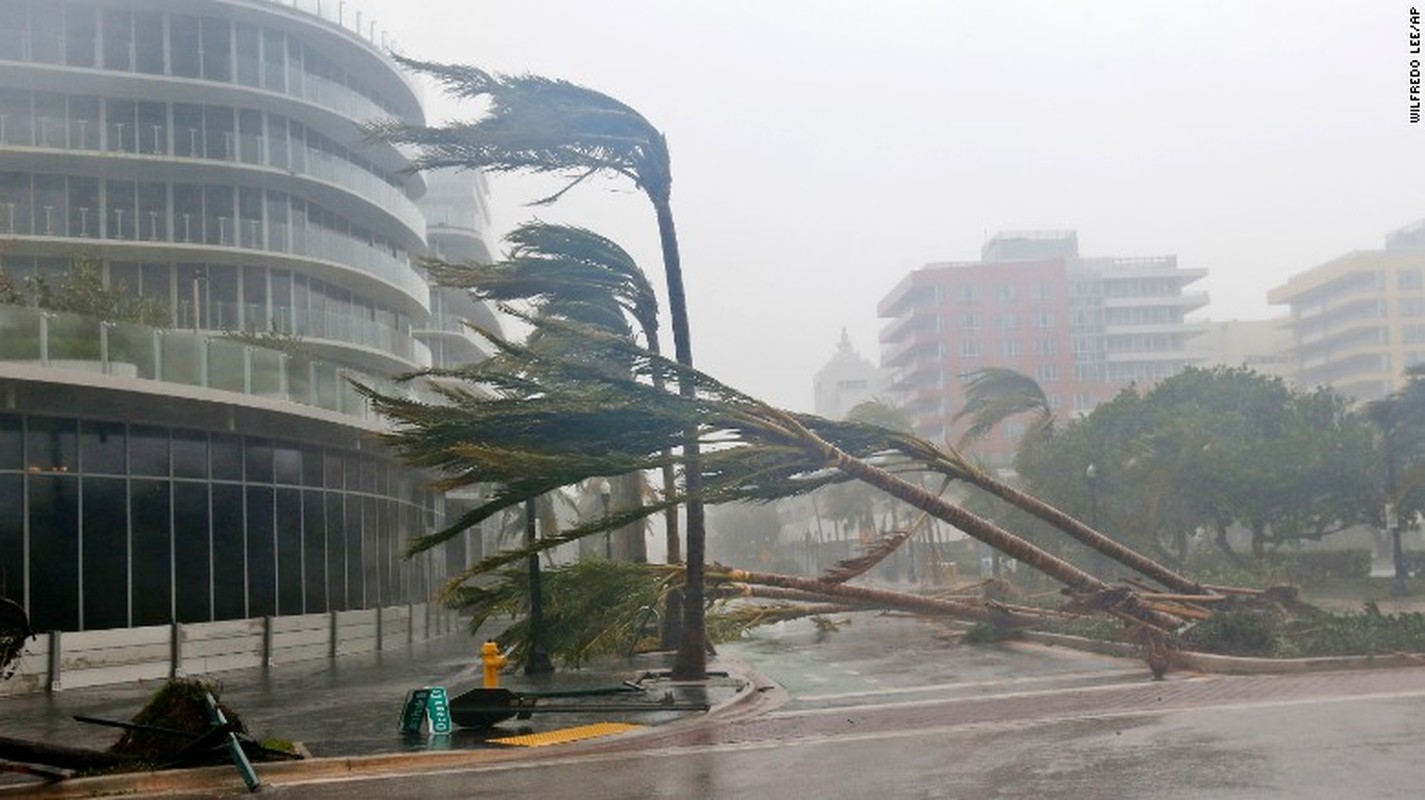 Kinh hoang sieu bao Irma tan pha bang Florida-Hinh-4