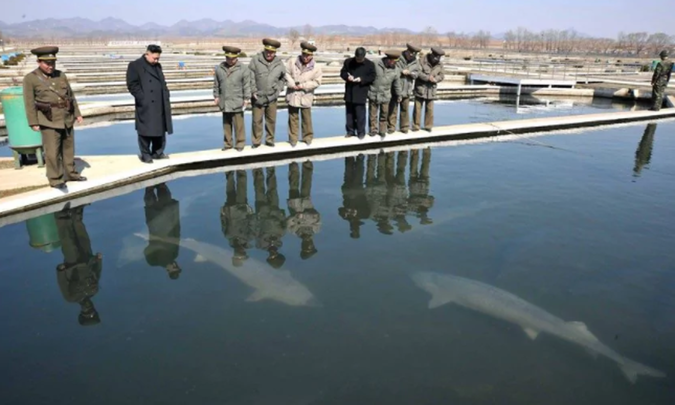 Anh “doc” ve nha lanh dao Trieu Tien Kim Jong-un (3)-Hinh-14