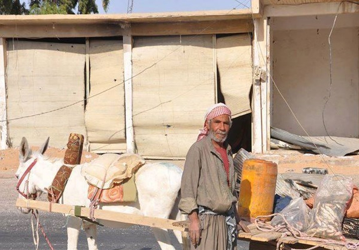 Dot nhap loat khu vuc moi giai phong o Raqqa-Deir Ezzor-Hinh-10