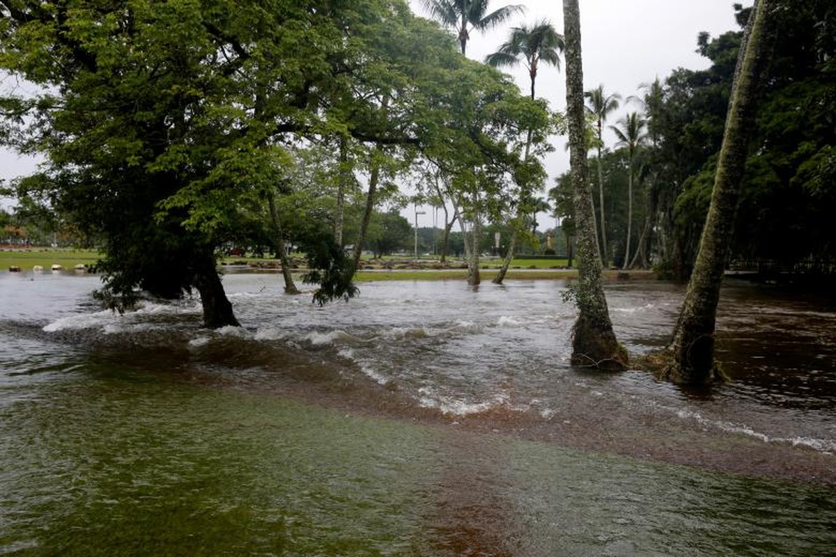 Hawaii tan hoang sau sieu bao Lane-Hinh-8