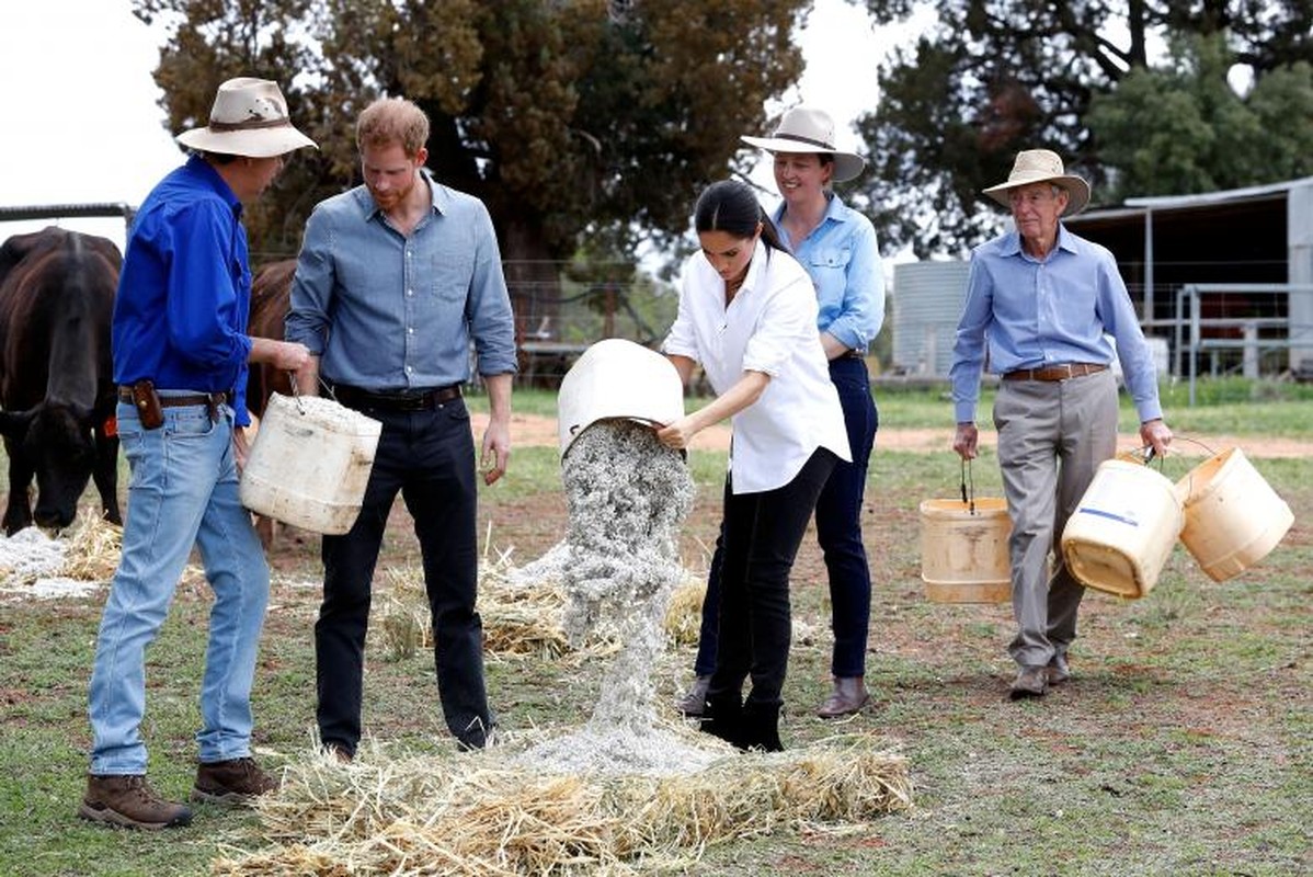 Loat hinh an tuong chuyen cong du Australia cua vo chong Hoang tu Harry-Hinh-2