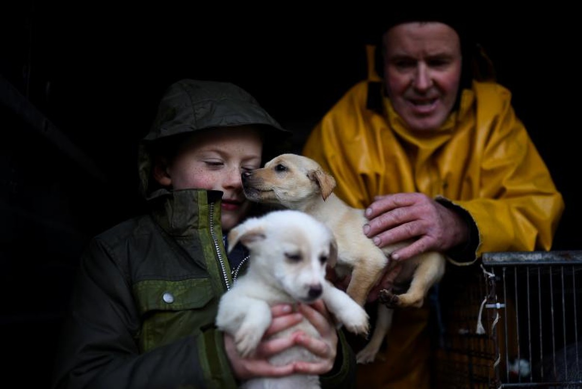 Ky la hoi cho nong san ven duong cua Ireland-Hinh-7