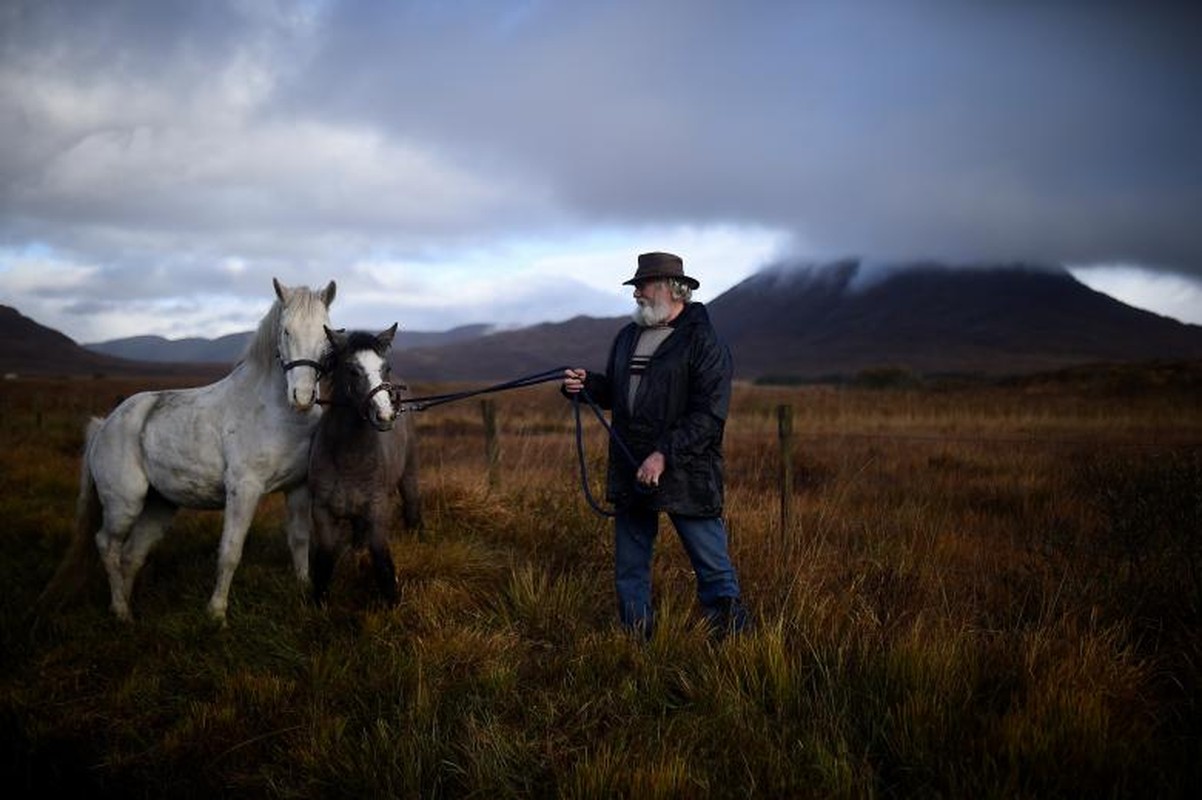 Ky la hoi cho nong san ven duong cua Ireland