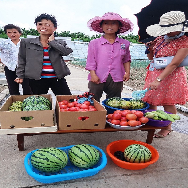 Ngo ngang cuoc song hien dai o dat nuoc Trieu Tien-Hinh-5