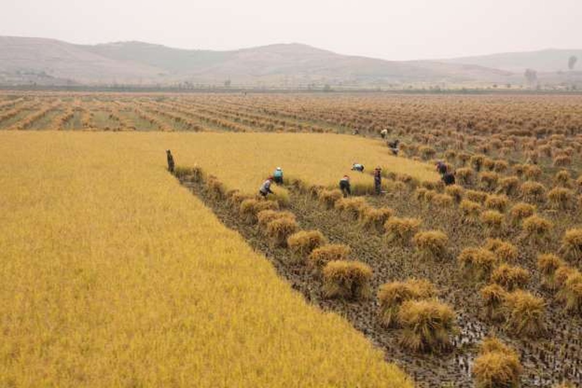 Ngo ngang canh sac dat nuoc Trieu Tien dep nhu thien duong-Hinh-14