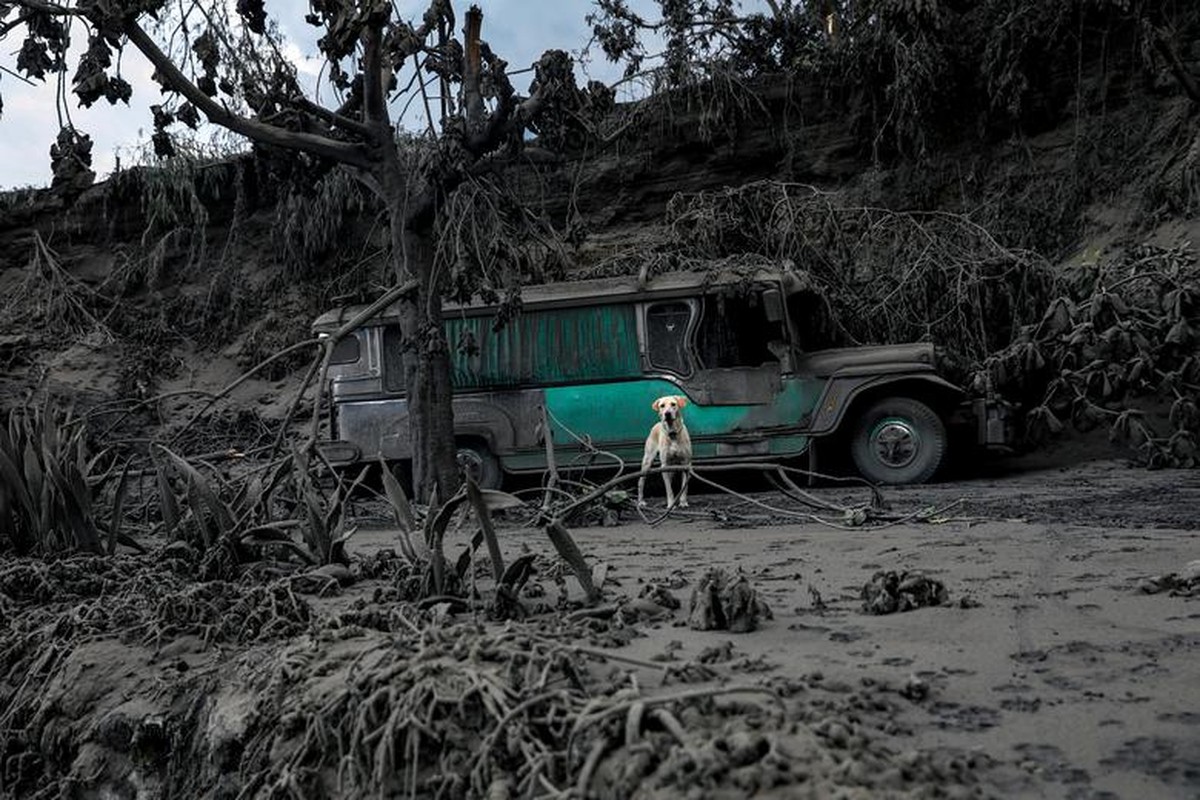 Dan Philippines khon kho vi hang tan tro bui nui lua-Hinh-15