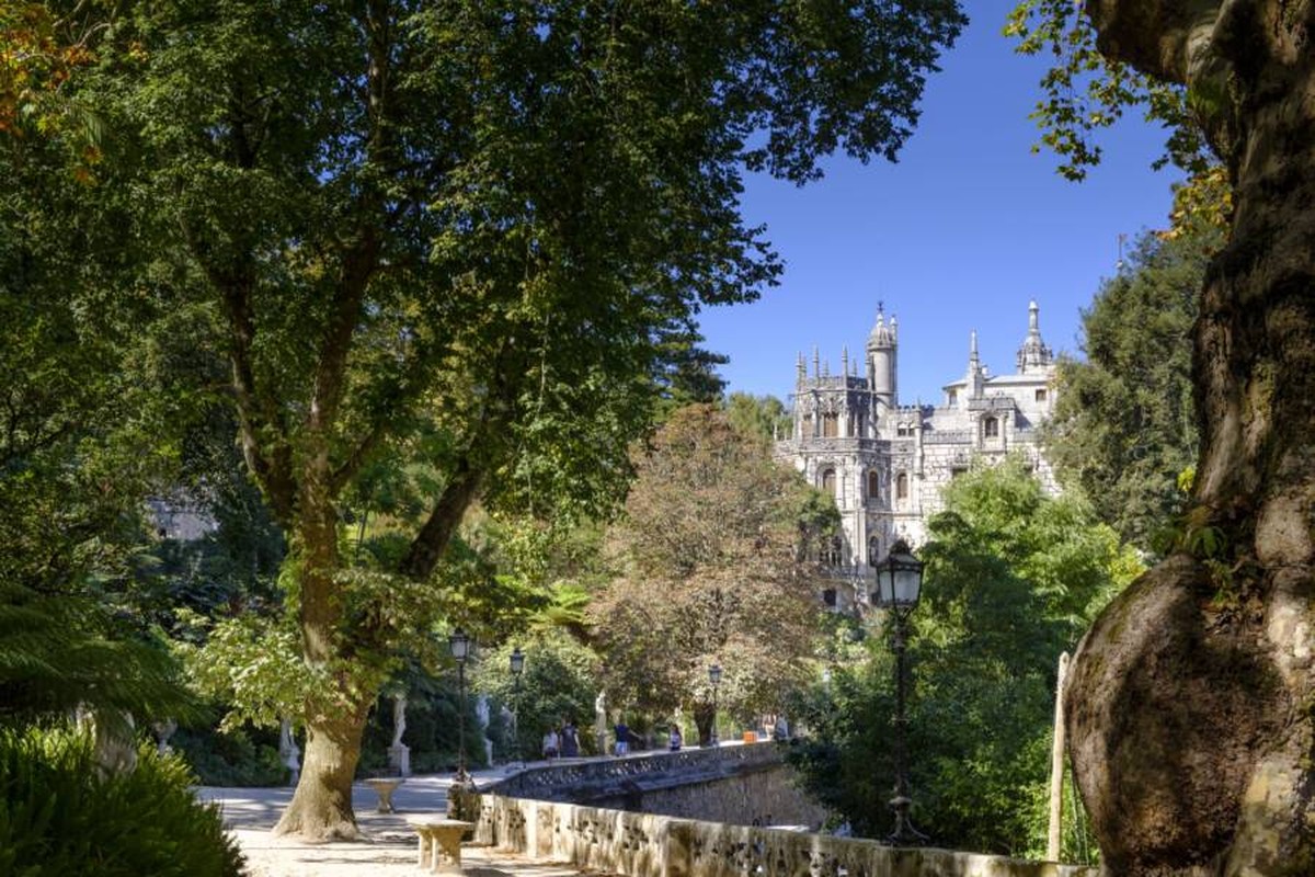 Ngo ngang ve dep lau dai co Quinta Da Regaleira noi tieng the gioi-Hinh-2