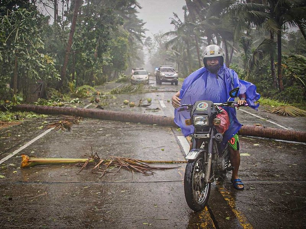 Toan canh bao Vongfong tan pha Philippines giua dai dich COVID-19-Hinh-7