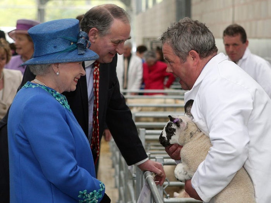 Nu hoang Anh Elizabeth II va tinh yeu doi voi dong vat-Hinh-11