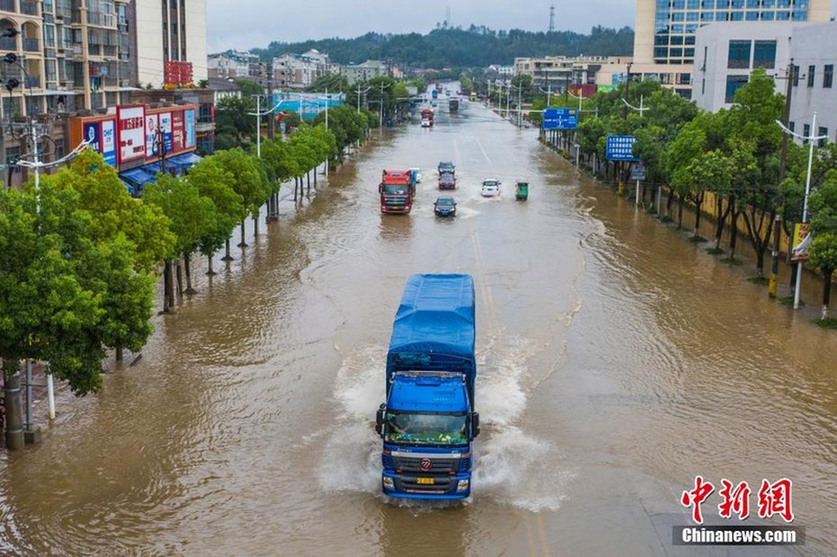 Hong thuy so 1 o Truong Giang: Soi Trung Quoc doi pho lu lut-Hinh-3