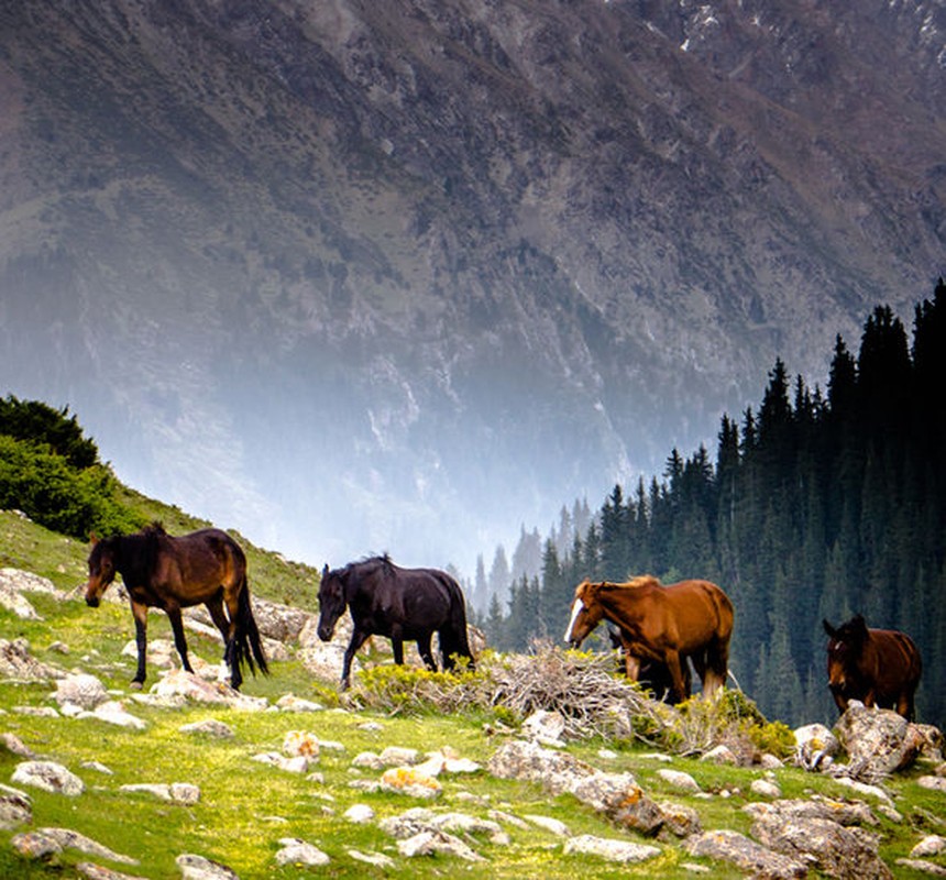 Kham pha bat ngo ve dat nuoc Kyrgyzstan co the ban chua biet-Hinh-8