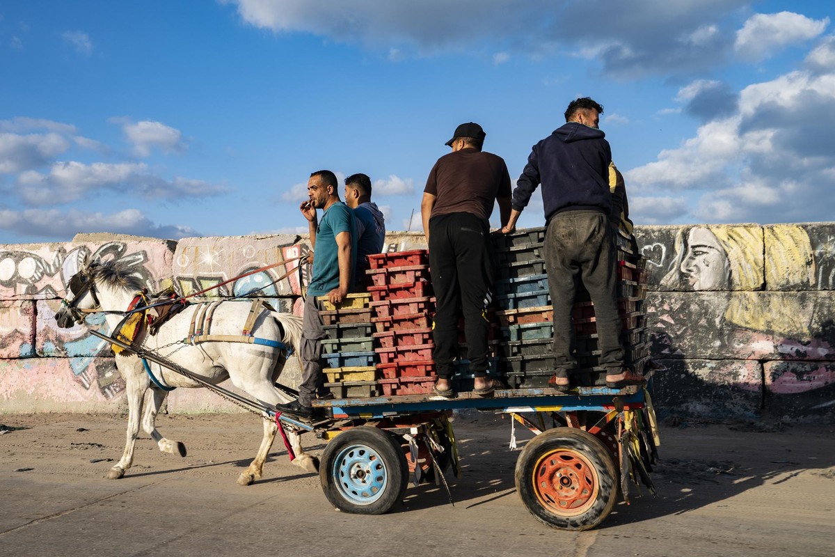 Can canh cuoc song ngu dan Gaza sau lenh ngung ban Israel - Hamas-Hinh-9