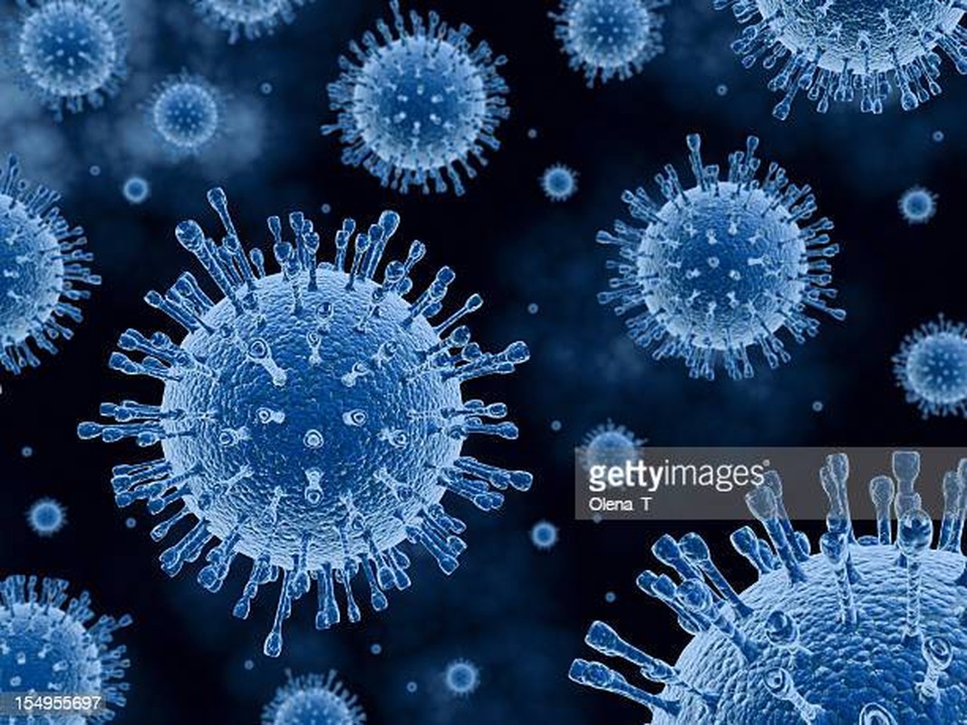 10 loai virus “chet choc” nhat lich su-Hinh-11