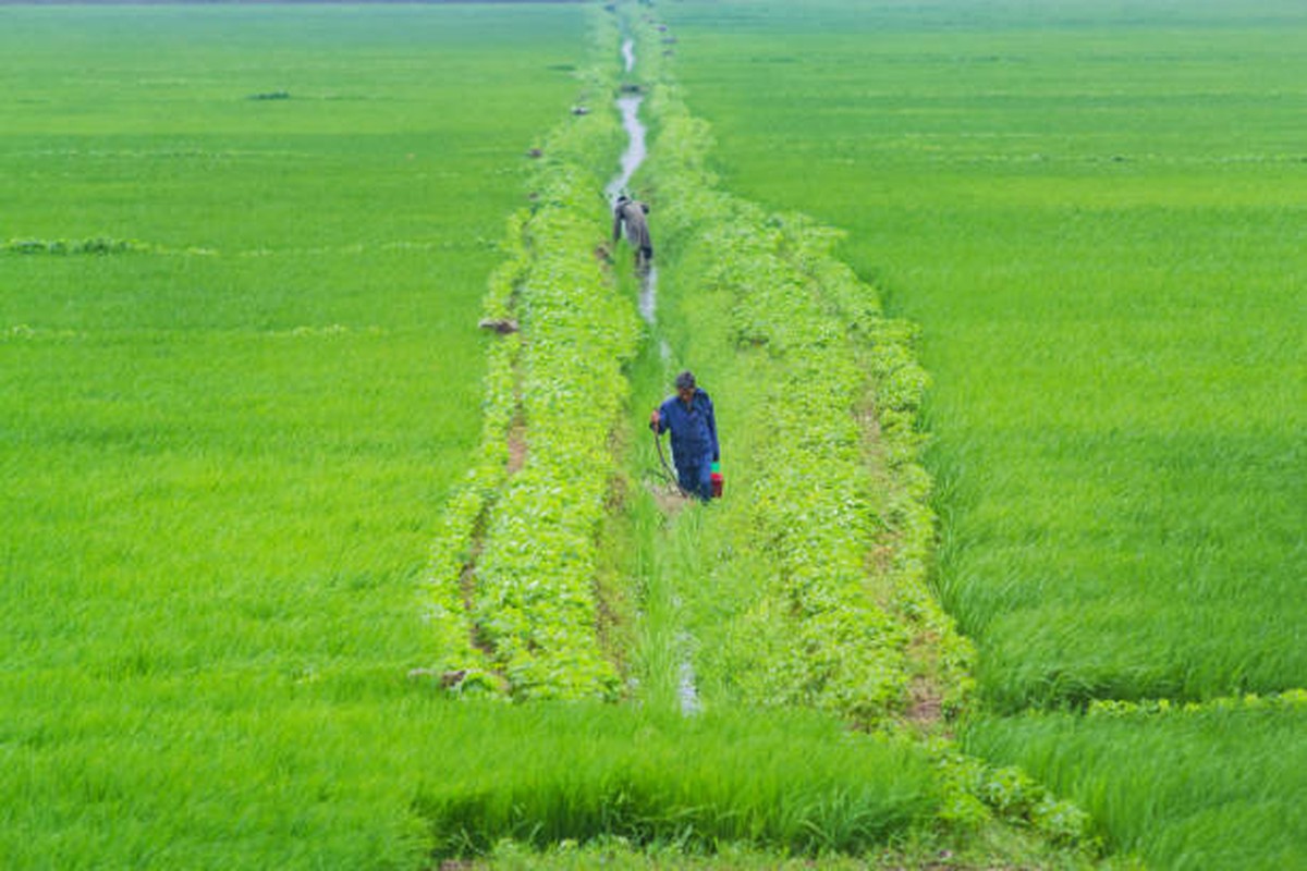 View - 	Kinh ngạc cảnh bình dị về cuộc sống ở thôn quê Triều Tiên 