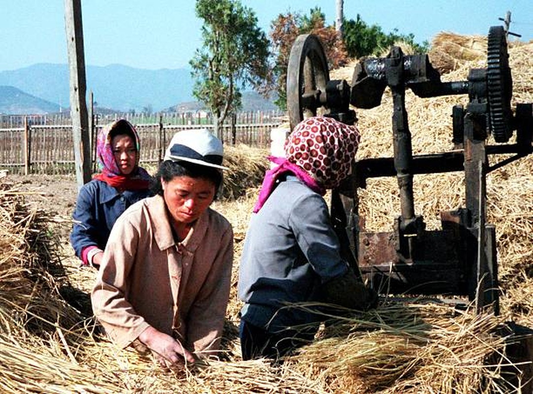 View - 	Loạt ảnh gây ngỡ ngàng về cuộc sống vùng nông thôn Triều Tiên