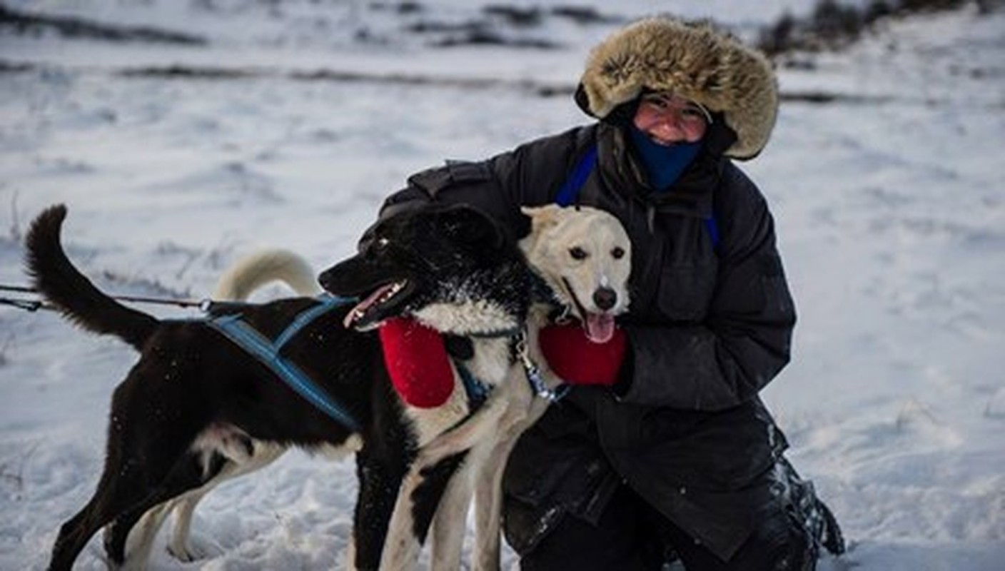 Ban nha song o... Bac Cuc vi qua yeu cho Siberian Husky