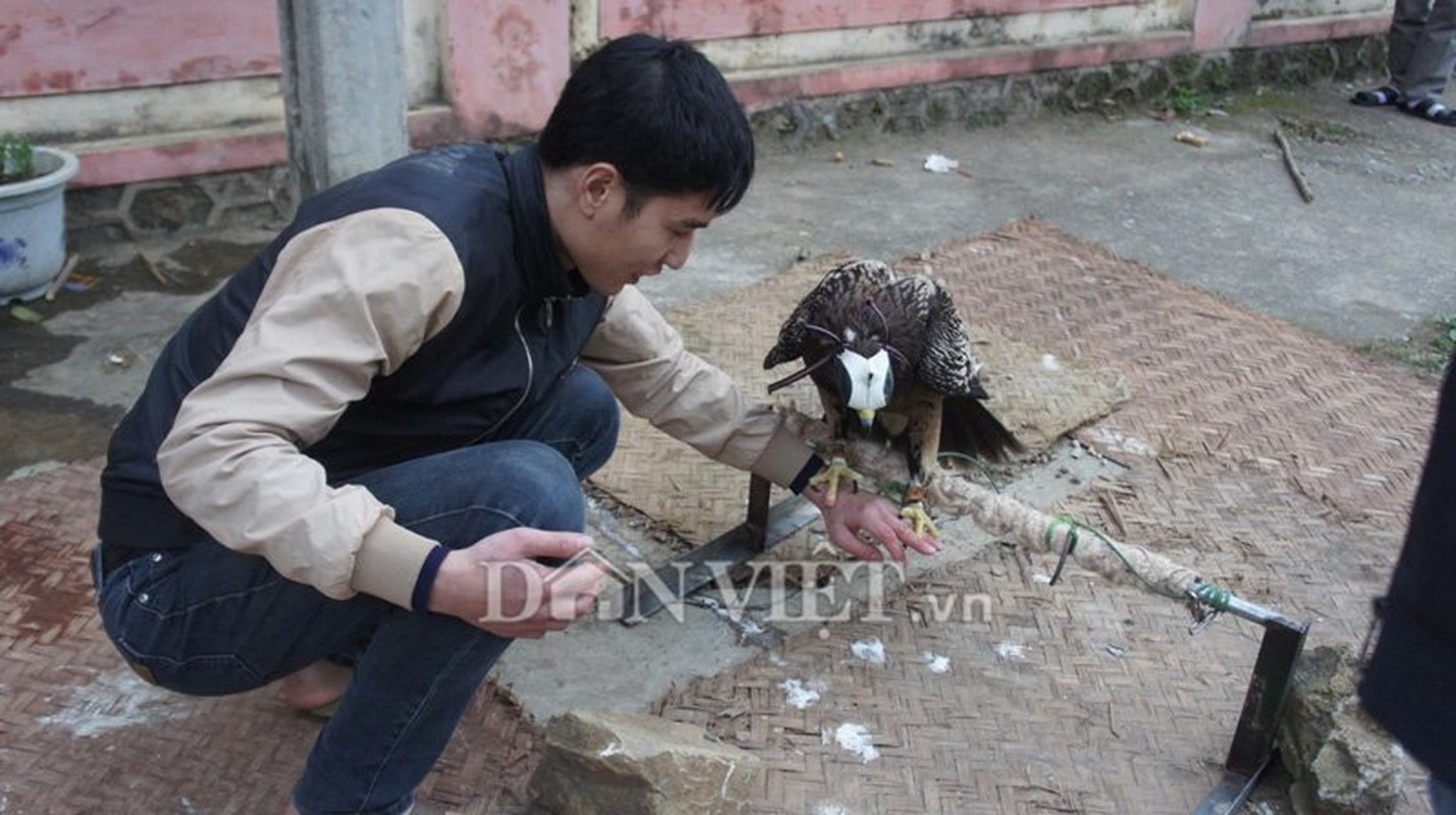 Giat minh dai gia pho nui nuoi dai bang dom lam thu cung-Hinh-4