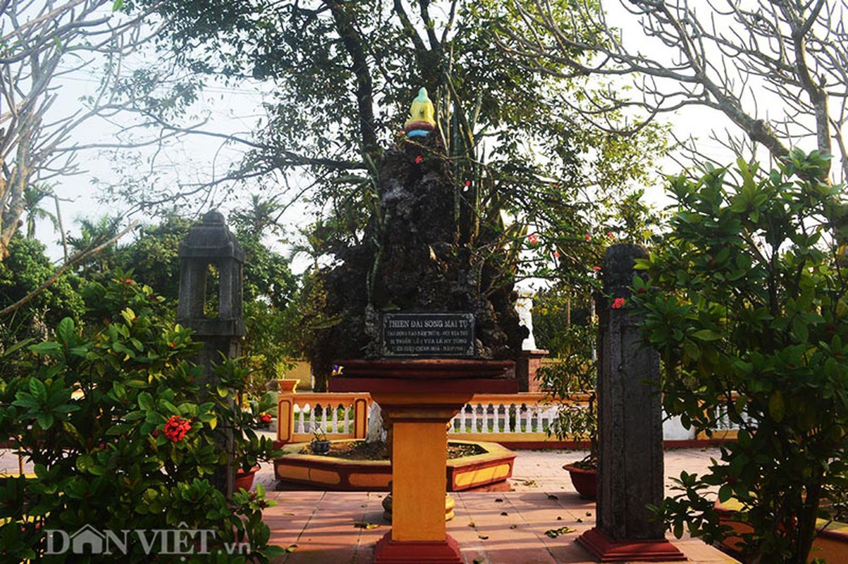 Chua Song Mai va giai thoai cua Trang Trinh-Hinh-8