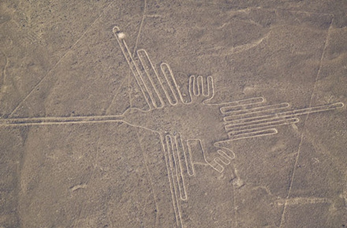 Bi an hinh quai thu khong lo giua cao nguyen Nazca-Hinh-2