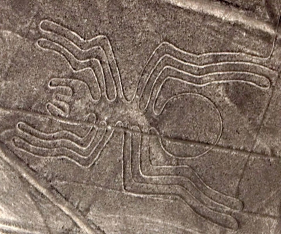 Bi an hinh quai thu khong lo giua cao nguyen Nazca-Hinh-3