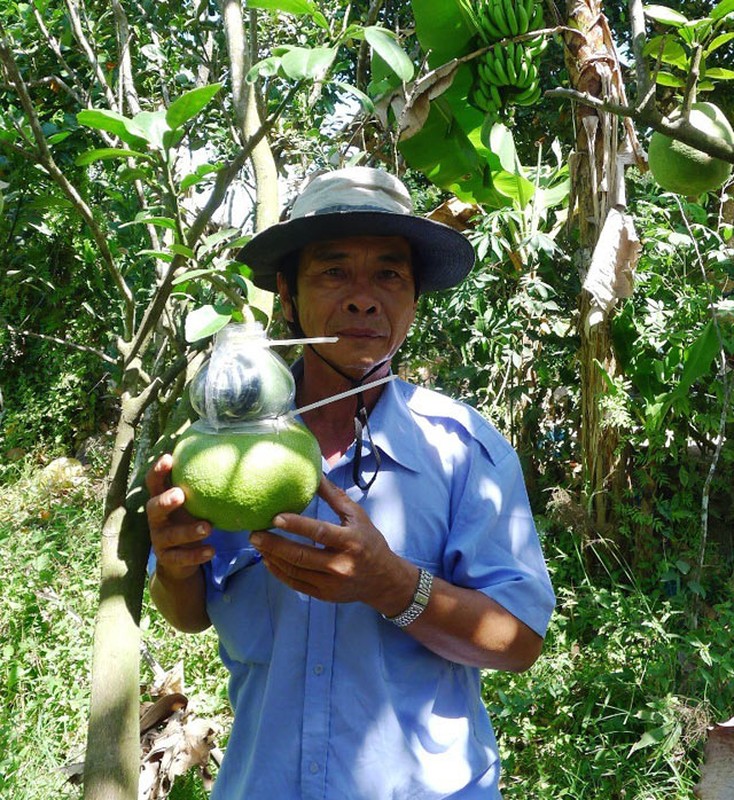 “Phu phep” bien hinh ho lo trong the gioi cac loai qua-Hinh-3