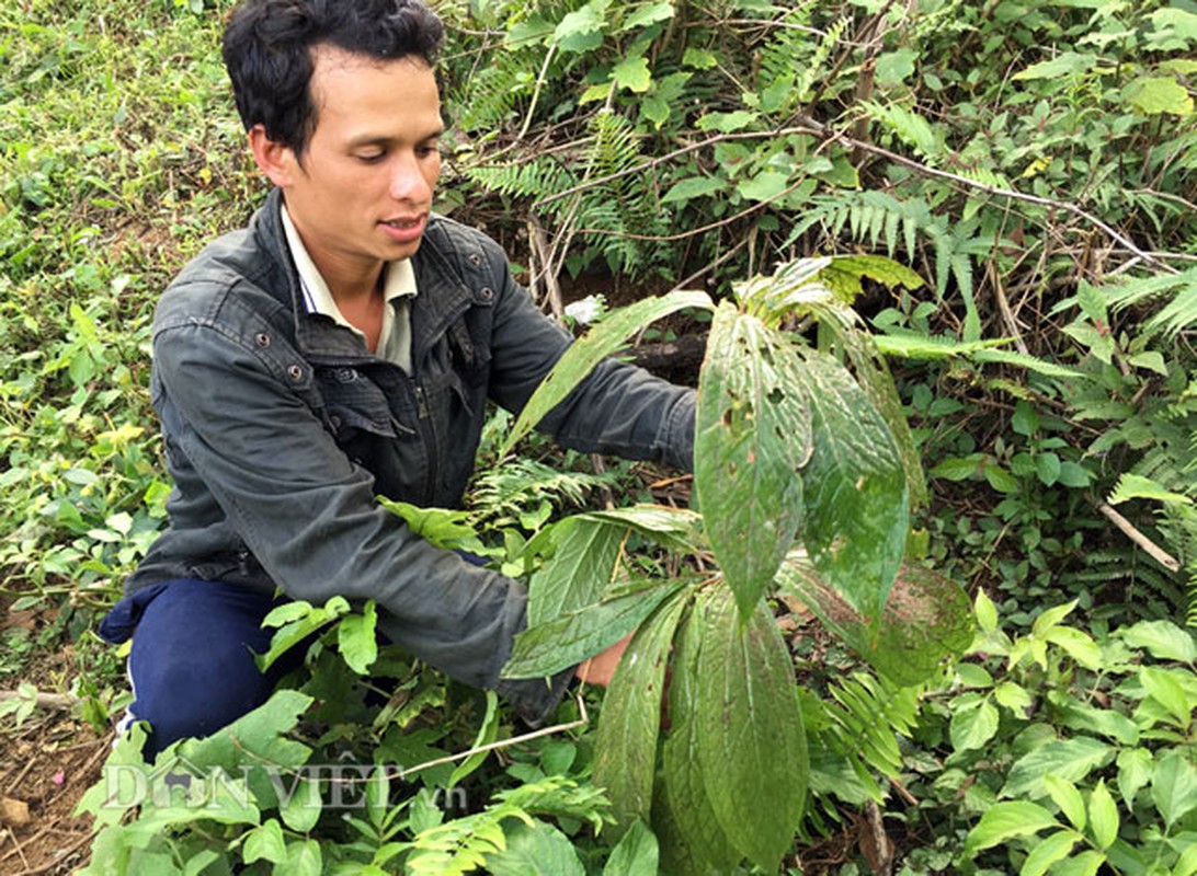 Diem mat nhung san vat noi cong troi Quang Ngai-Hinh-5