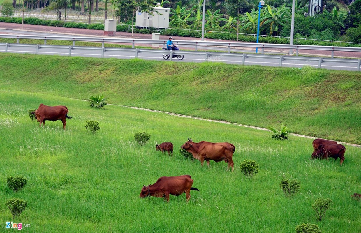 Can canh duong du kien dat ten Hoang Sa, Truong Sa o HN-Hinh-8