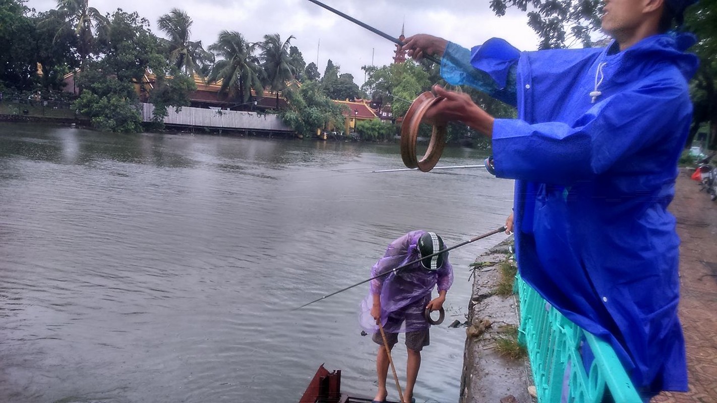 Chum anh: Giua troi mua bao, di cau ca Ho Tay-Hinh-3