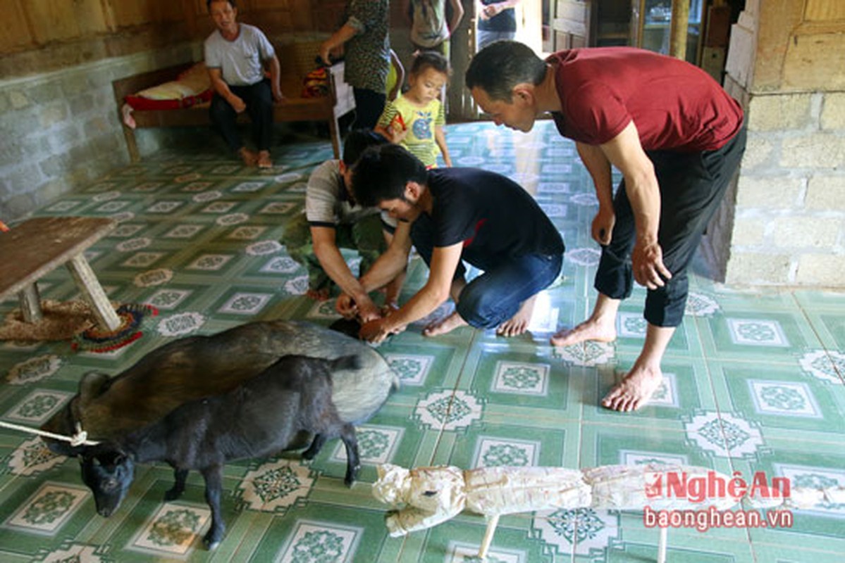 Doc dao tuc cung trong gia dinh nguoi Mong Nghe An-Hinh-4