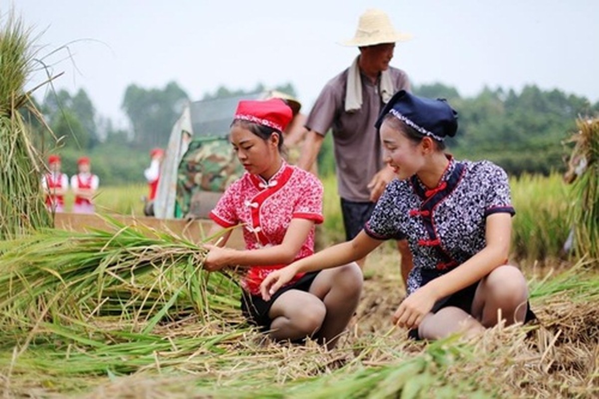 Tiep vien hang khong di giay cao got gat lua gay bao-Hinh-3