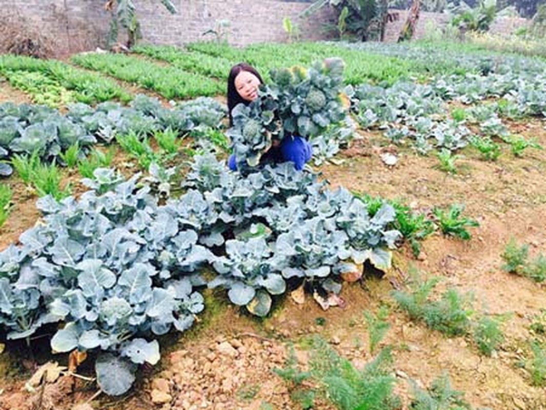 Cac me bo viec luong cao, trong rau sach kiem tien ty