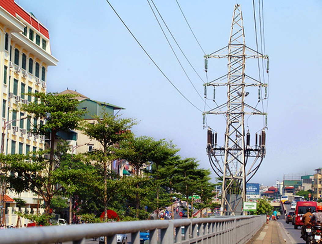 Anh Hang tram cay xanh trong duoi duong dien cao the o HN