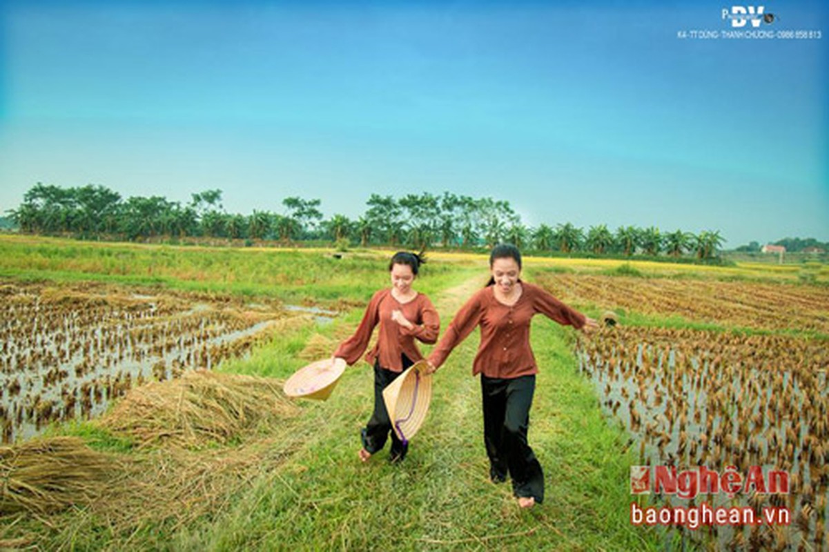 Thon nu khoe ve dep tinh khoi tren canh dong Thanh Chuong-Hinh-6