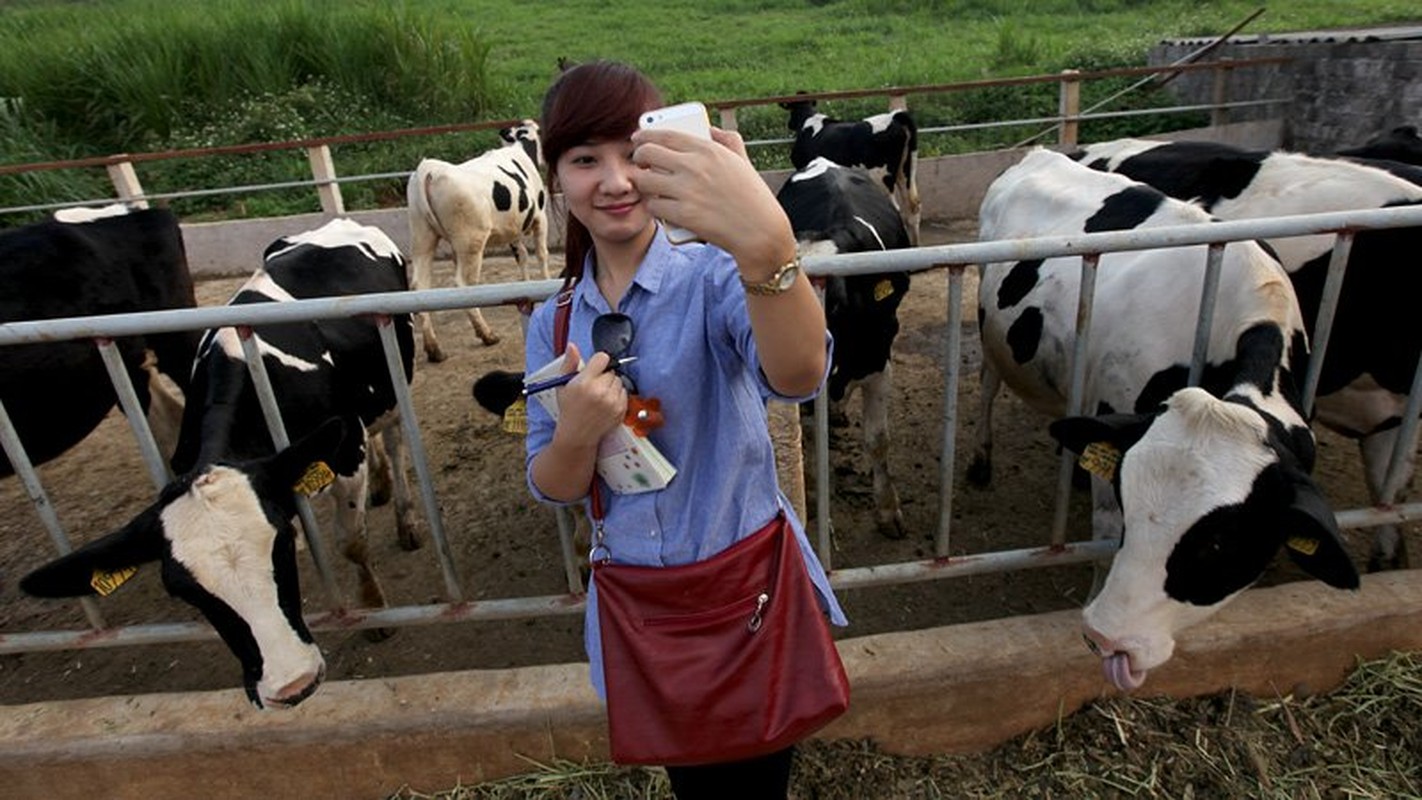 Thu vi chup anh “tu suong” len loi moi ngo ngach VN-Hinh-6