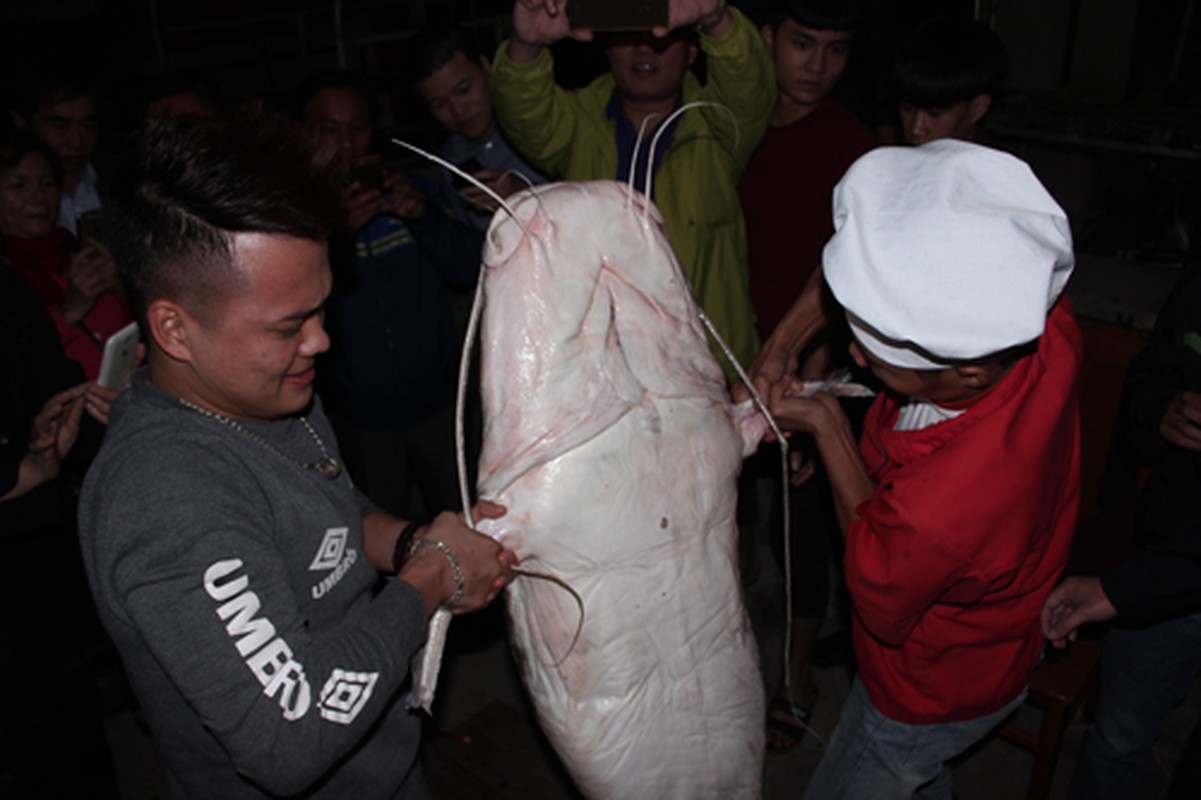 Them mot “thuy quai” song Me Kong xuat hien o Ha Noi-Hinh-3