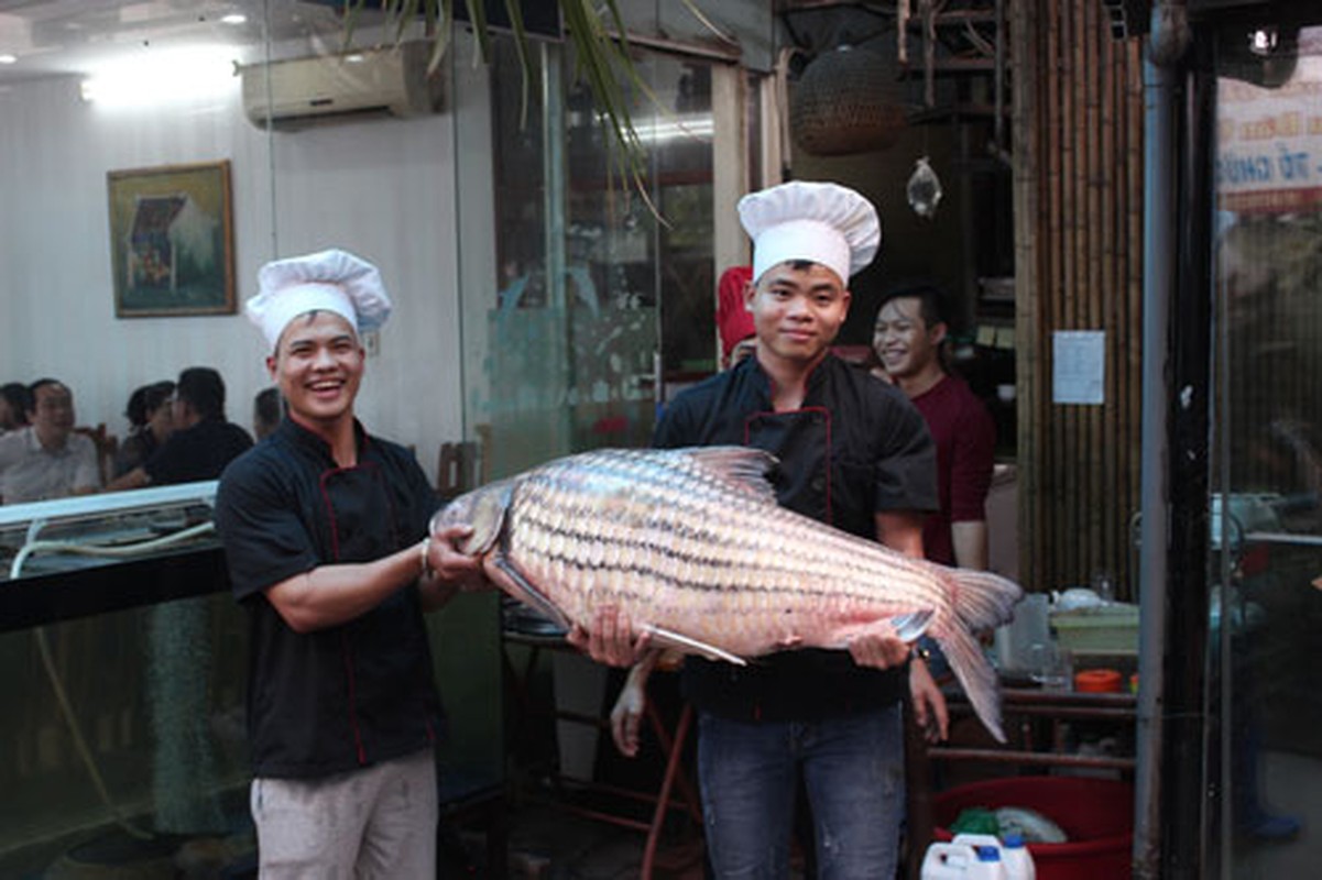 Kinh ngac ca khung tu song Me Kong boi ve Ha Noi-Hinh-2