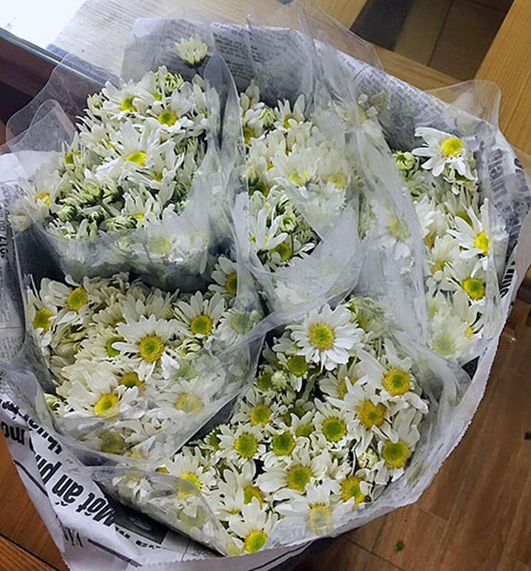 Xem chi em Ha Thanh cam cuc hoa mi ruc ro mot goc nha-Hinh-10
