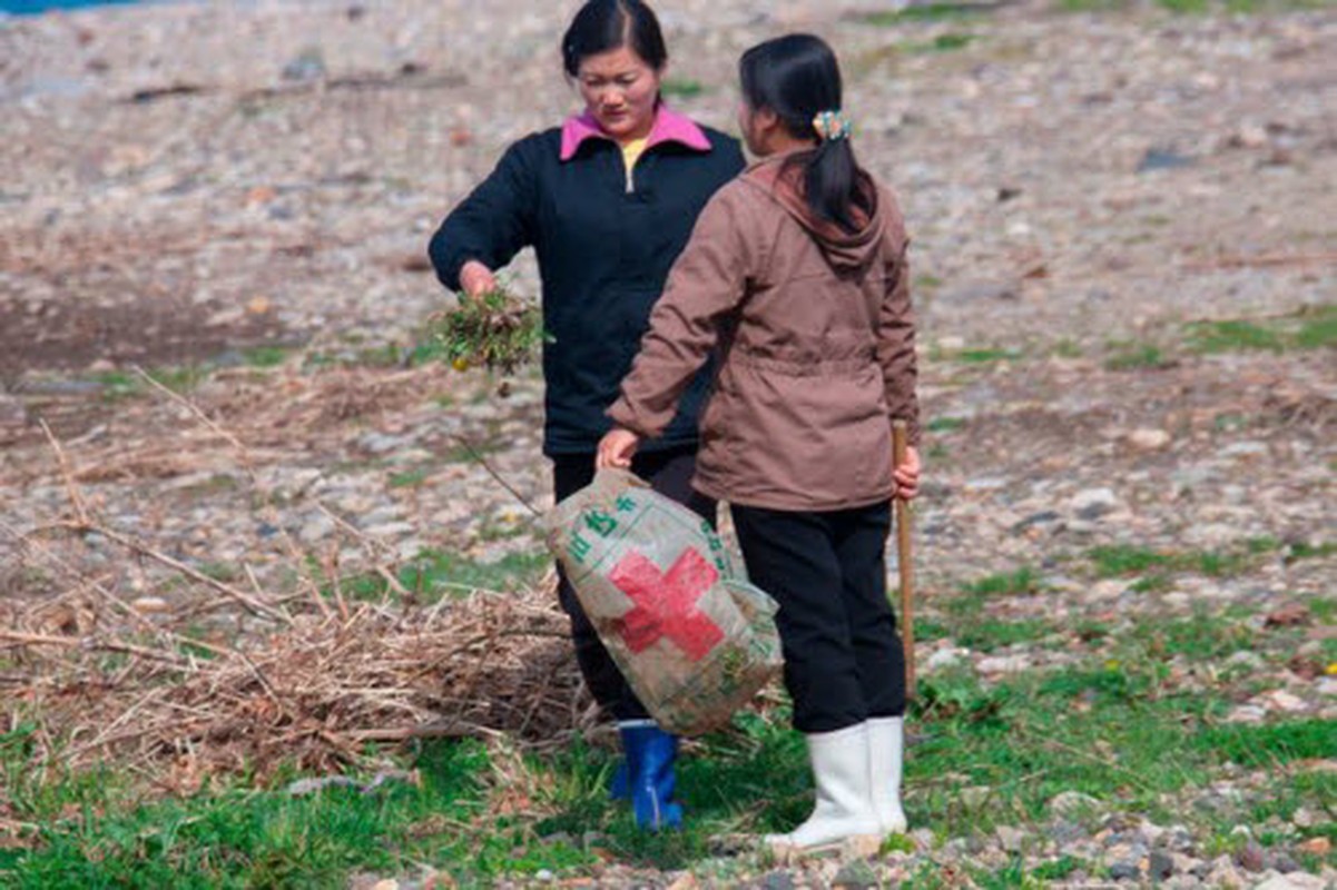 Chum anh Cuoc song tai ngoi lang heo lanh o Trieu Tien-Hinh-13