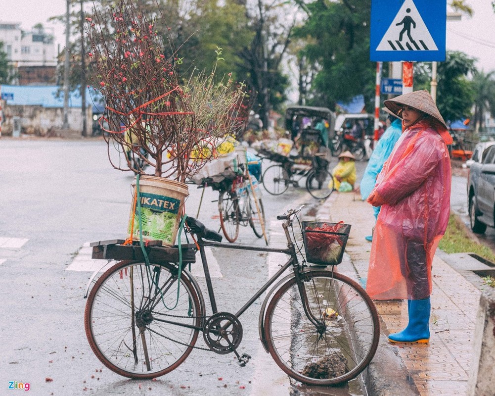 Chum anh: Nhung canh doi muu sinh trong mua lanh Ha Noi-Hinh-13