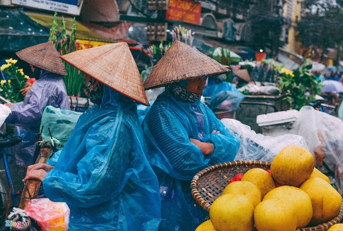 Chum anh: Nhung canh doi muu sinh trong mua lanh Ha Noi-Hinh-18