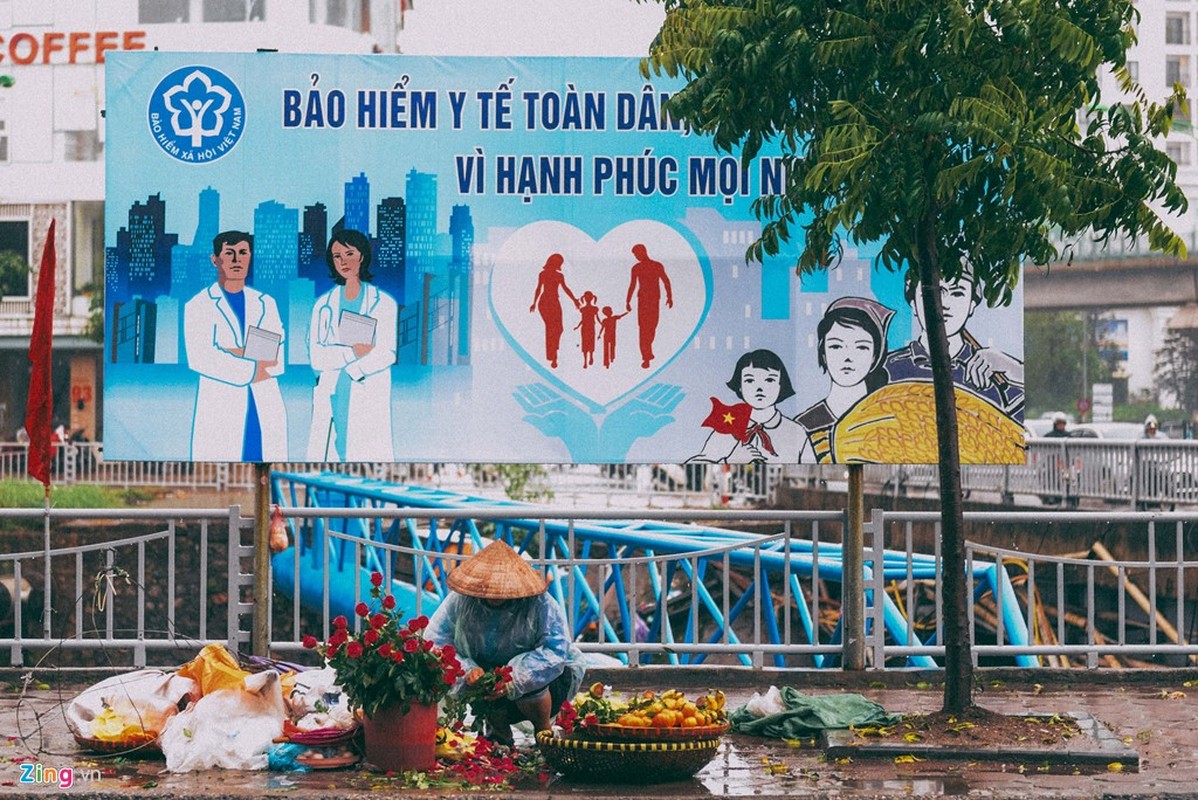 Chum anh: Nhung canh doi muu sinh trong mua lanh Ha Noi-Hinh-6