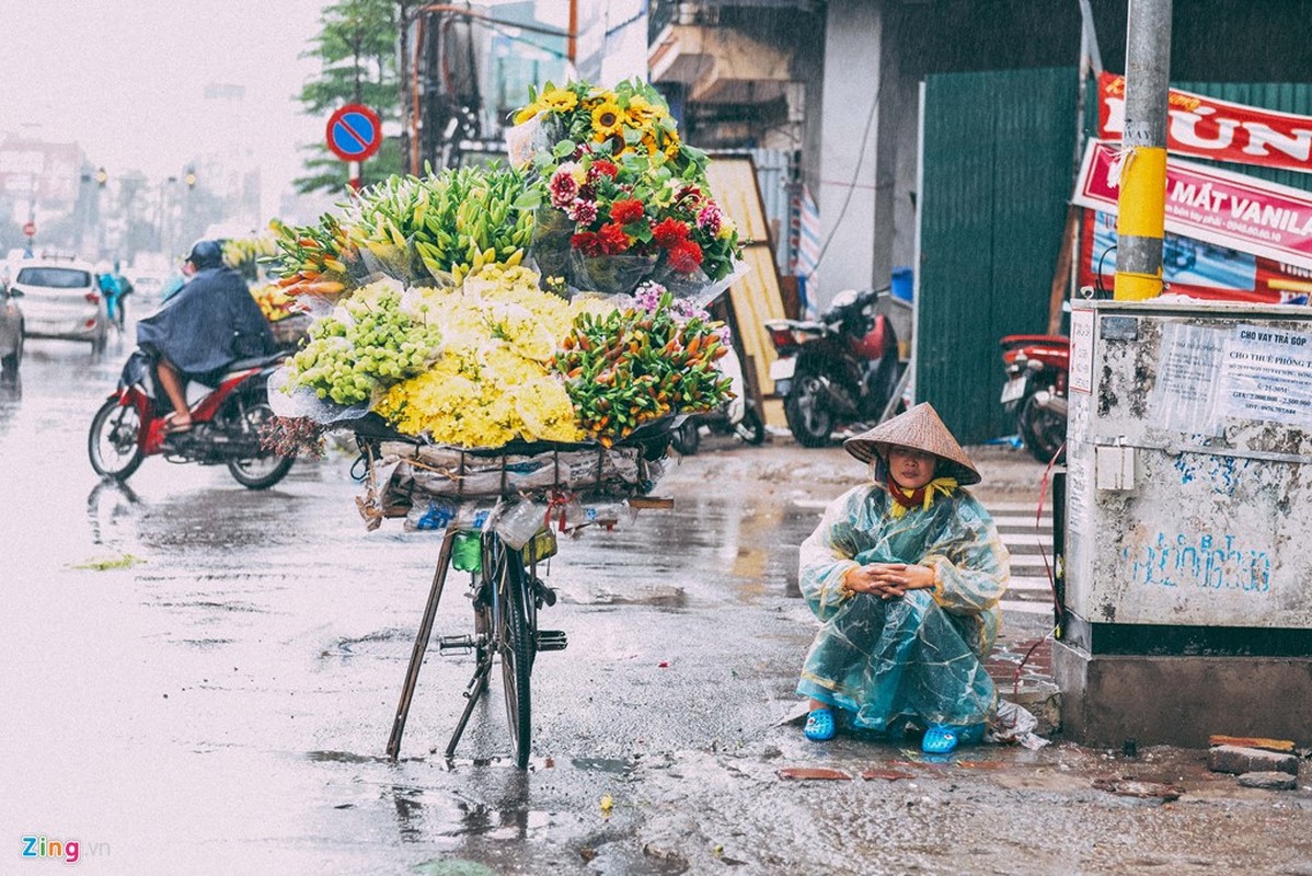 Chum anh: Nhung canh doi muu sinh trong mua lanh Ha Noi